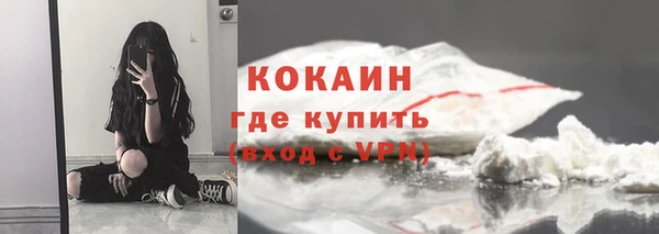 сатива Валдай