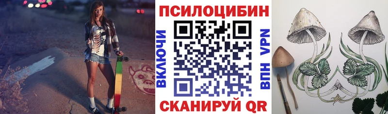 купить наркоту  блэк спрут ссылка  Псилоцибиновые грибы прущие грибы  Гаджиево 